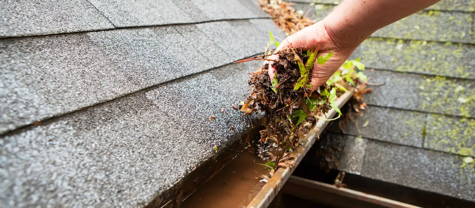 Universal Gutters Cleaning LLC